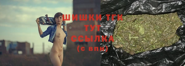 дмт Алексеевка