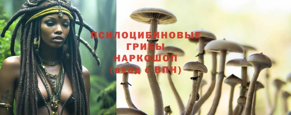 mdpv Алзамай