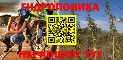 стаф Берёзовский