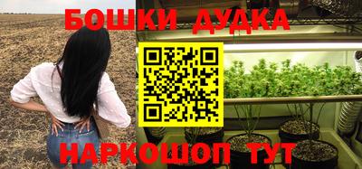 стаф Берёзовский
