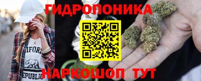 стаф Берёзовский