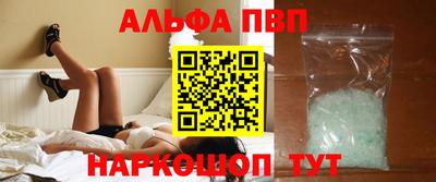 стаф Берёзовский