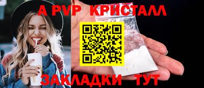 стаф Берёзовский