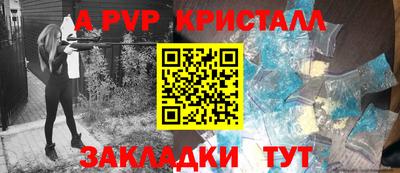 стаф Берёзовский